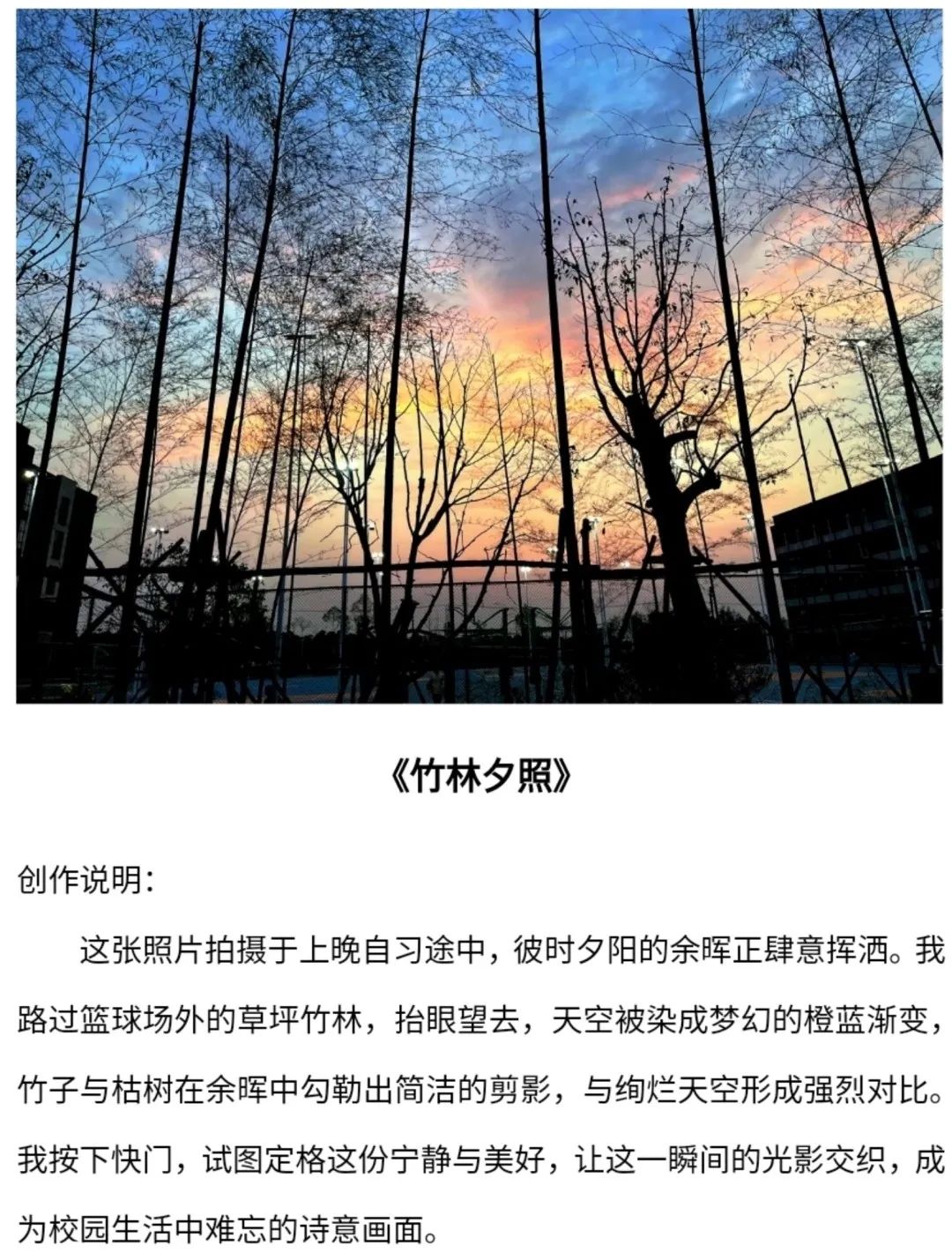 我系举办通用技能大赛之校园风景拍摄大赛